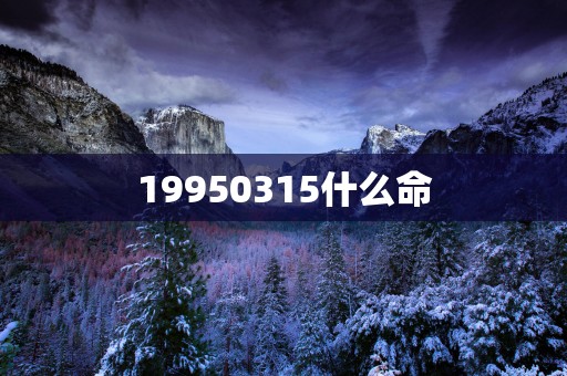 19950315什么命