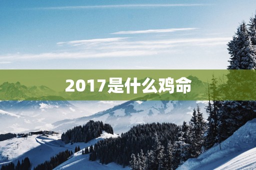 2017是什么鸡命