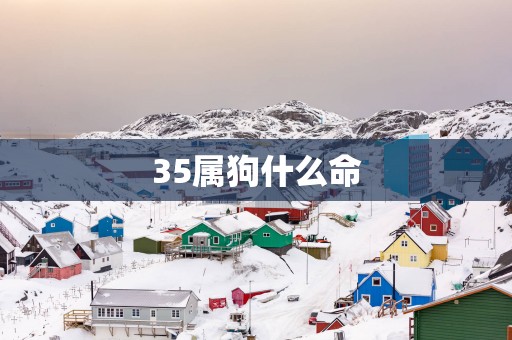 35属狗什么命