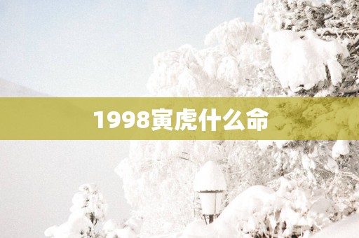 1998寅虎什么命