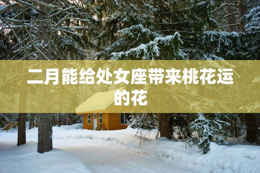 二月能给处女座带来桃花运的花