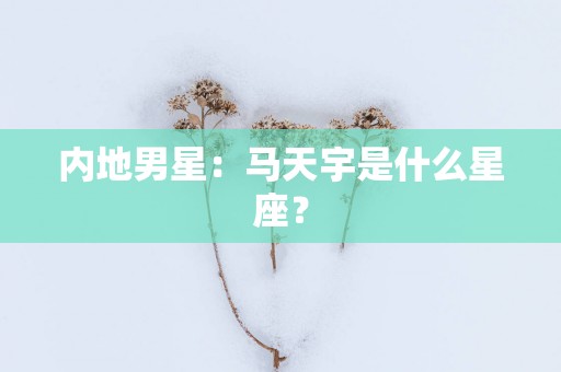 内地男星：马天宇是什么星座？
