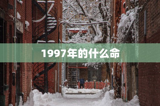 1997年的什么命