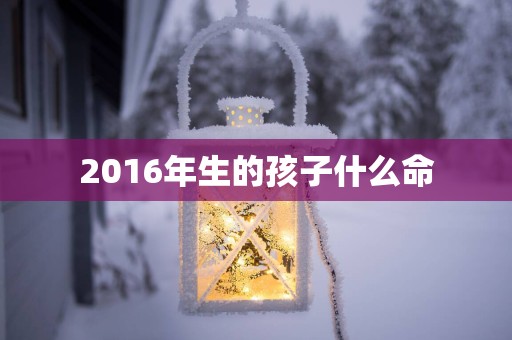 2016年生的孩子什么命