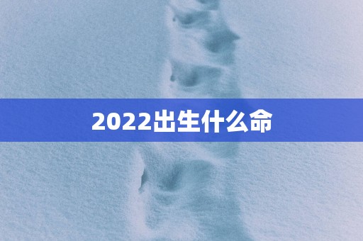 2025出生什么命