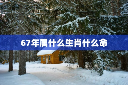 67年属什么生肖什么命