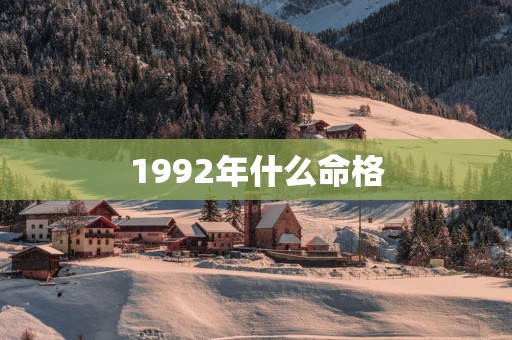 1992年什么命格