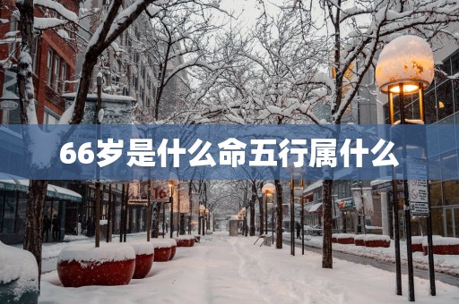 66岁是什么命五行属什么