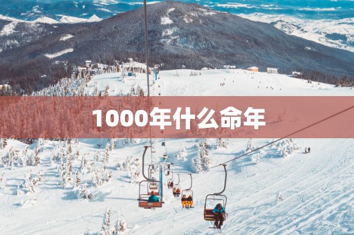 1000年什么命年