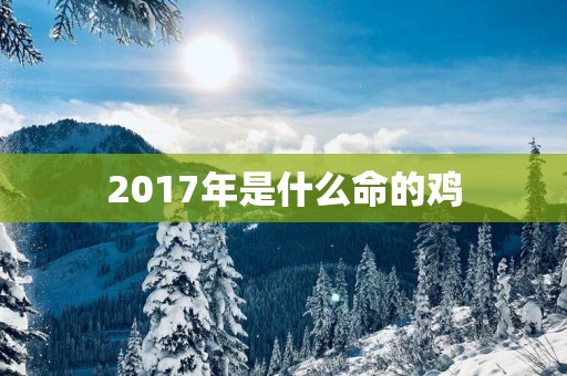 2017年是什么命的鸡