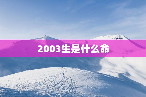 2003生是什么命