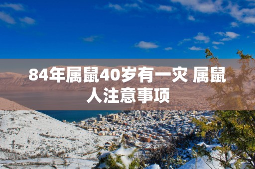 84年属鼠40岁有一灾 属鼠人注意事项