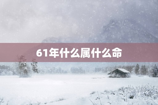61年什么属什么命