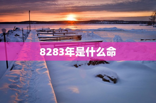 8283年是什么命