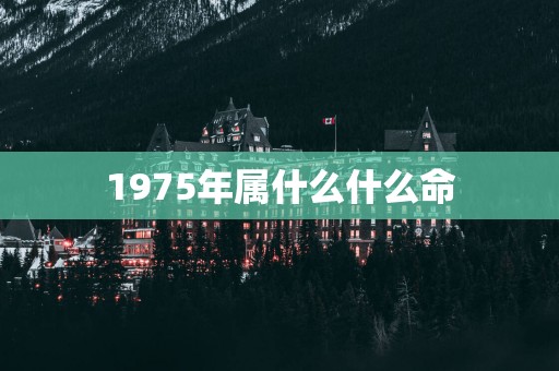 1975年属什么什么命