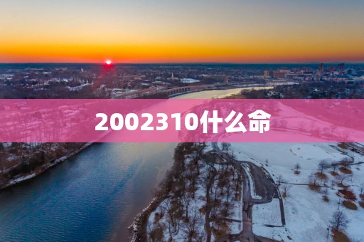 2002310什么命