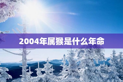 2004年属猴是什么年命