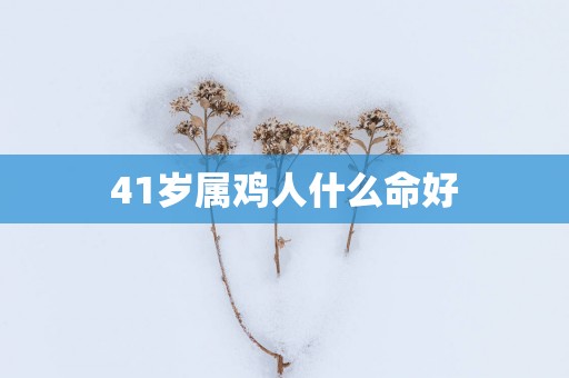 41岁属鸡人什么命好
