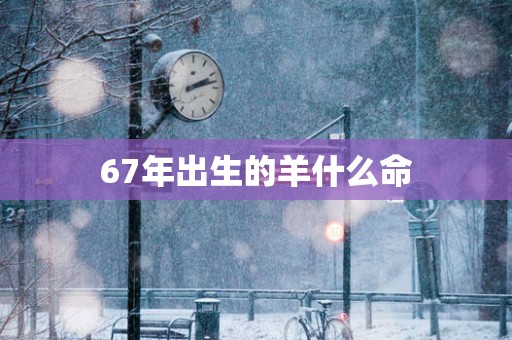 67年出生的羊什么命
