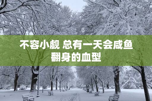 不容小觑 总有一天会咸鱼翻身的血型