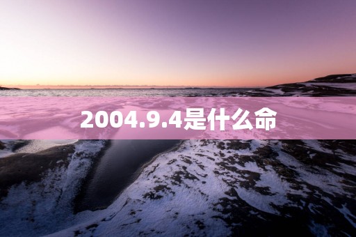 2004.9.4是什么命