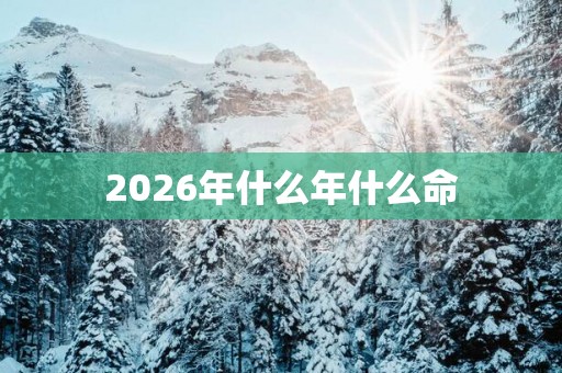 2026年什么年什么命