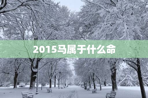 2015马属于什么命