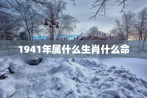 1941年属什么生肖什么命