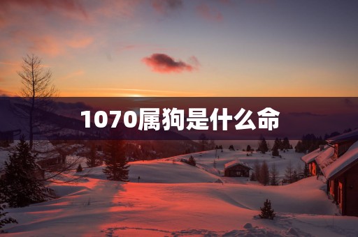 1070属狗是什么命