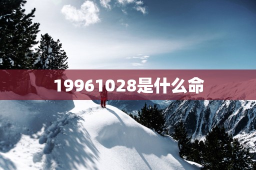 19961028是什么命