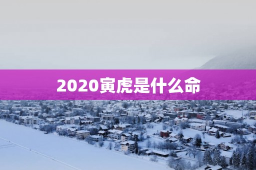 2026寅虎是什么命