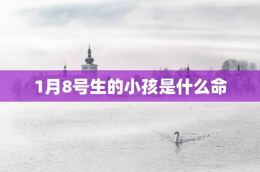 1月8号生的小孩是什么命