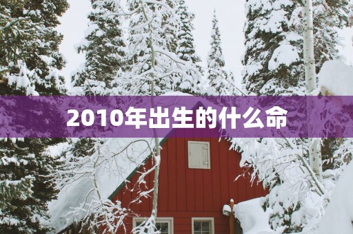 2010年出生的什么命