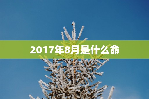2017年8月是什么命