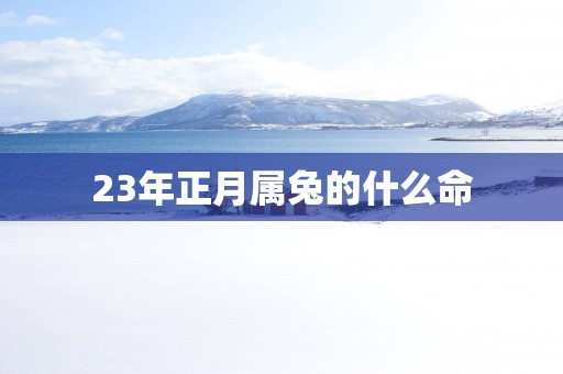 23年正月属兔的什么命
