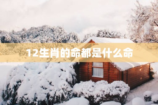 12生肖的命都是什么命