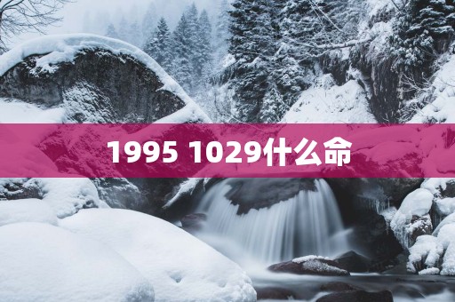 1995 1029什么命