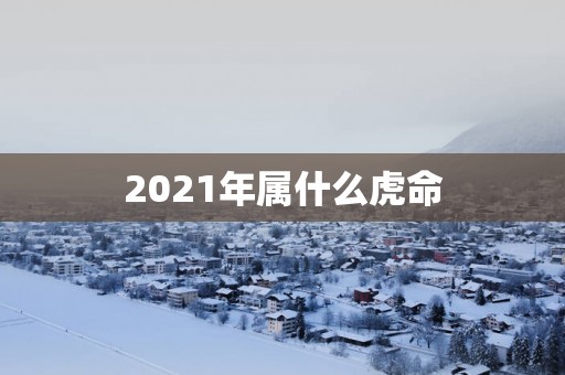 2025年属什么虎命