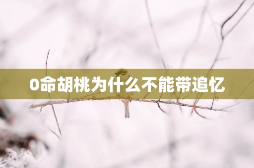 0命胡桃为什么不能带追忆