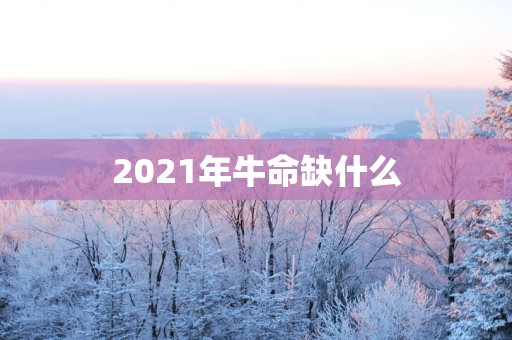 2025年牛命缺什么