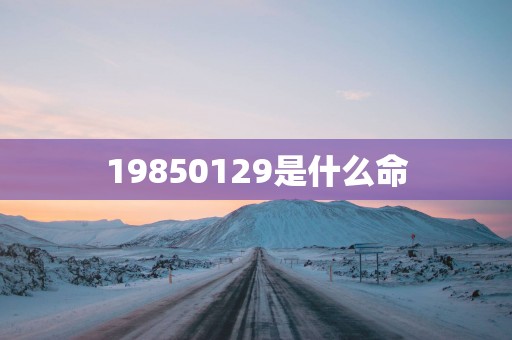 19850129是什么命