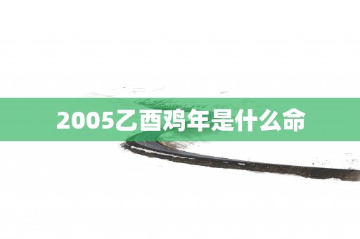 2005乙酉鸡年是什么命