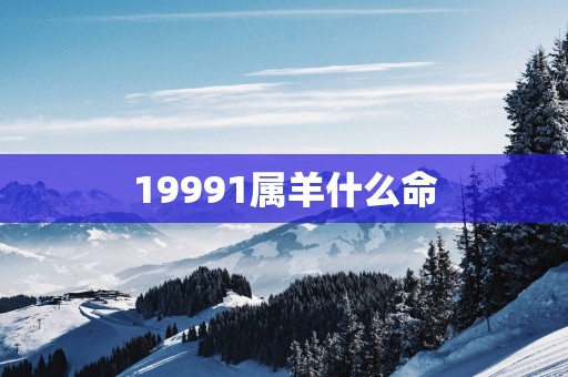19991属羊什么命
