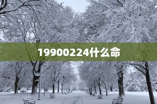 19900224什么命