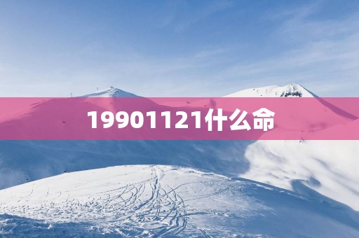 19901121什么命