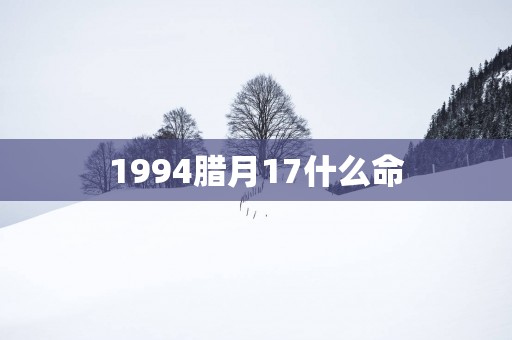 1994腊月17什么命