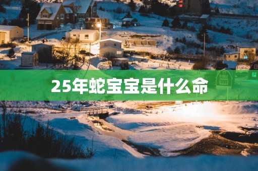 25年蛇宝宝是什么命