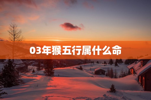 03年猴五行属什么命