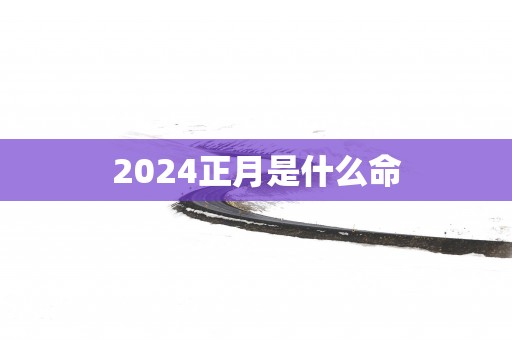 2025正月是什么命