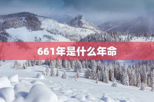 661年是什么年命